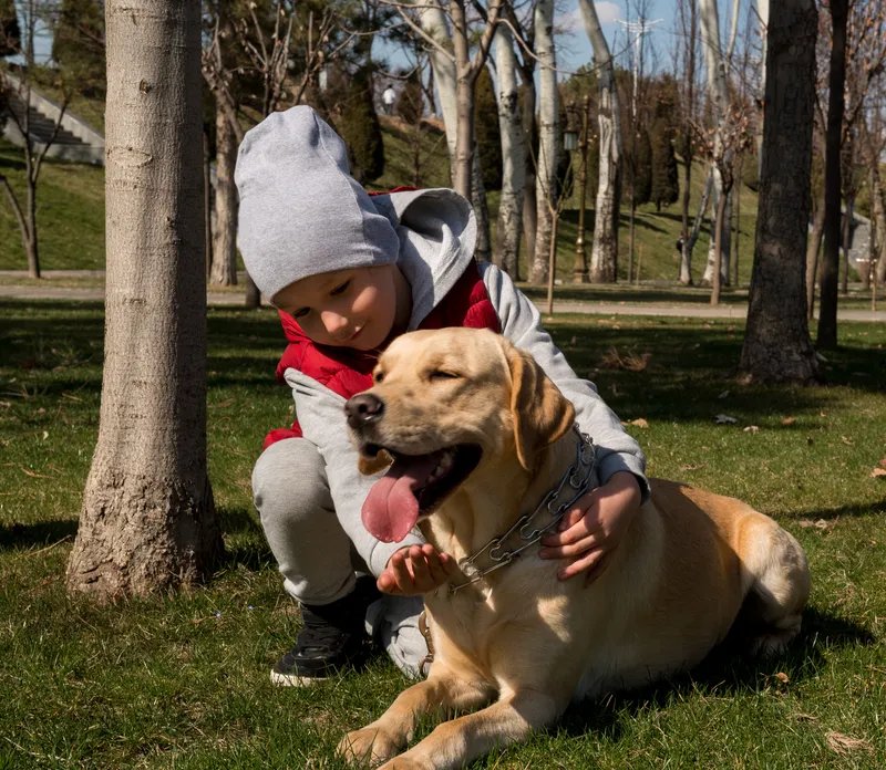 Speak About the Photo Sample