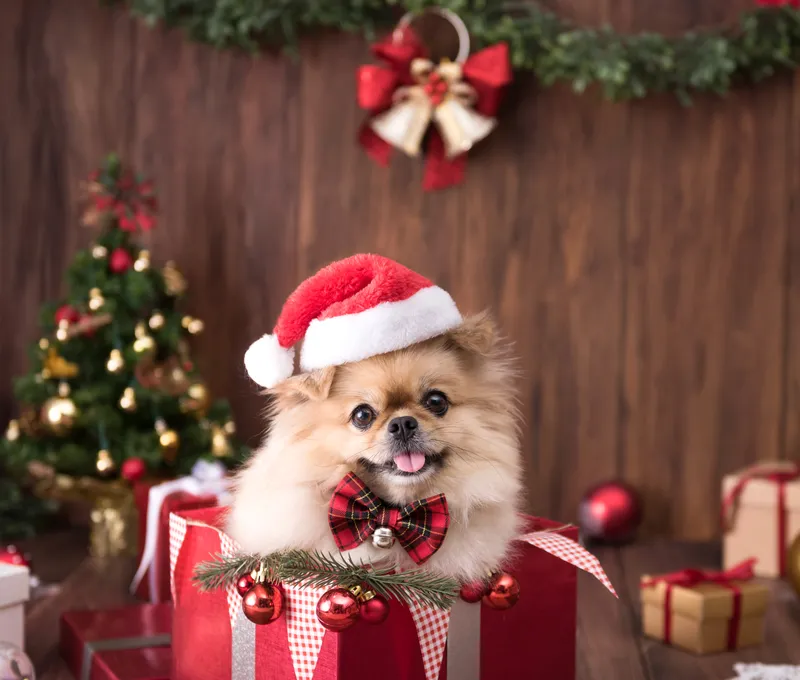 Write About the Photo Sample